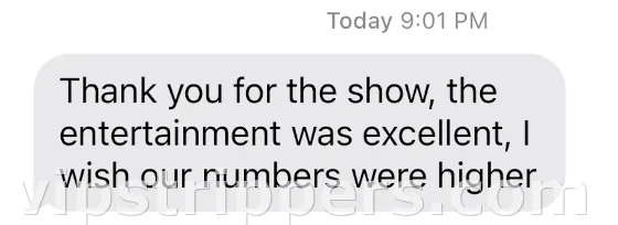 bachelor party review